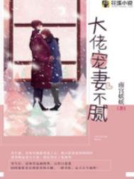 小说大佬宠妻不腻笔趣阁