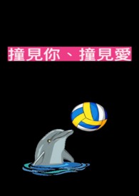 撞见你,撞见爱是什么歌