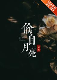 偷自月亮祁允御书