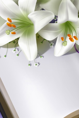 变相怪杰线免费观看天马影院