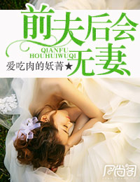 前夫后会无妻免费阅读