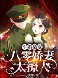 军婚撩人八零俏媳妇